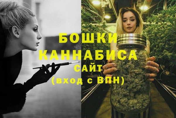 крисы Корсаков