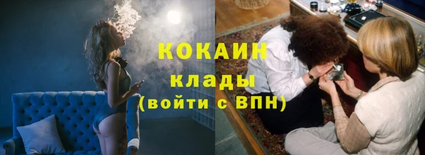 крисы Корсаков