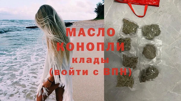 крисы Корсаков
