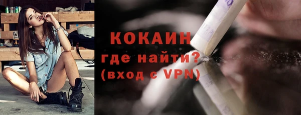 крисы Корсаков