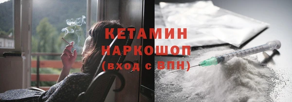 крисы Корсаков