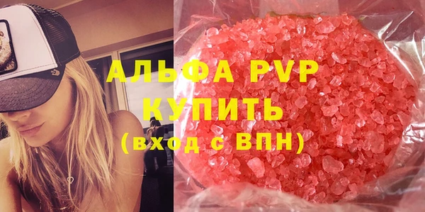 крисы Корсаков