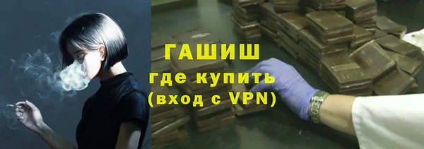 крисы Корсаков