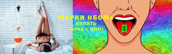 крисы Корсаков