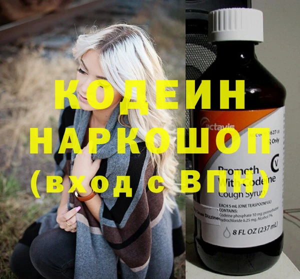 крисы Корсаков