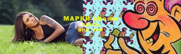 крисы Корсаков