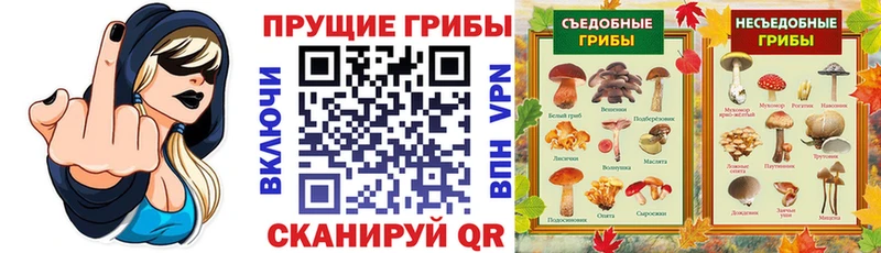 Галлюциногенные грибы ЛСД  Купить  Бавлы 