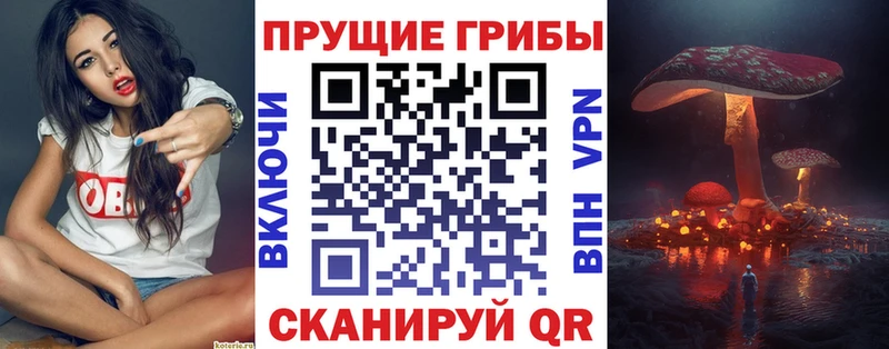 Псилоцибиновые грибы Psilocybe Бавлы